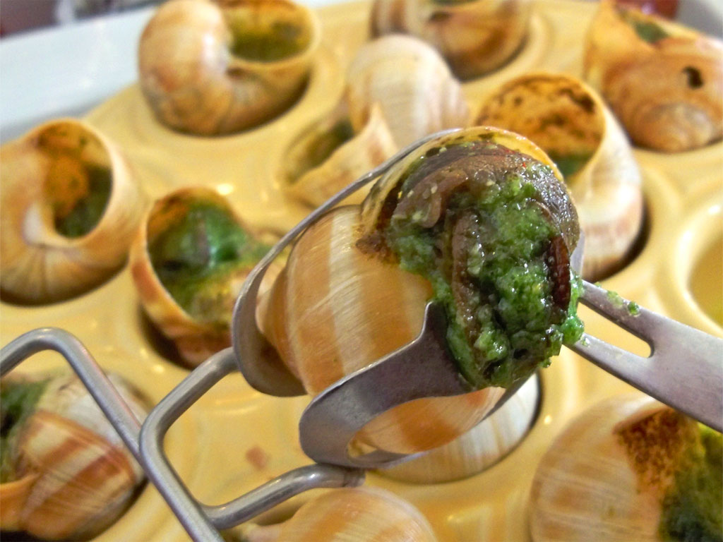 Lumachine di mare